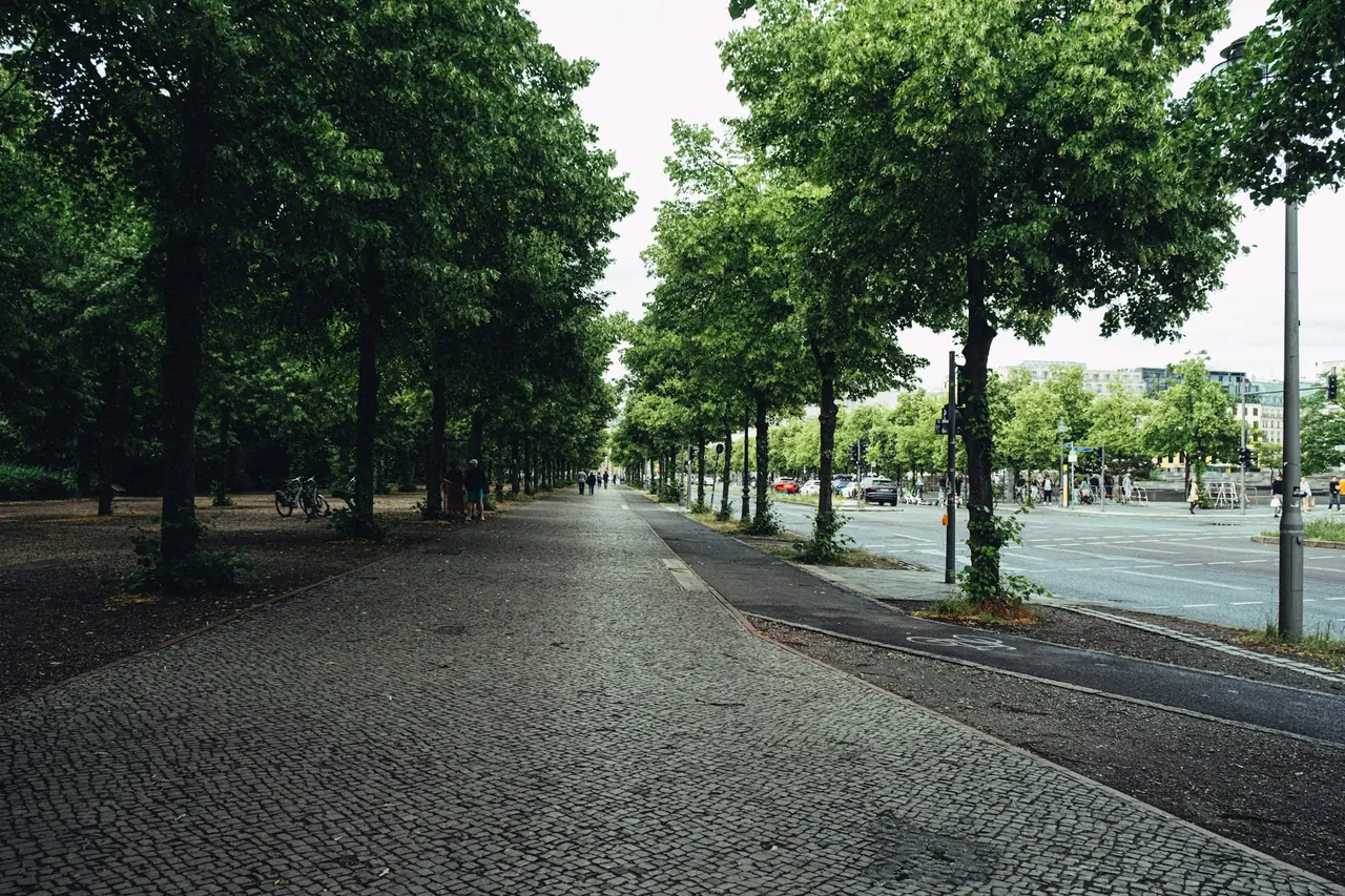 Träd längs en gångväg i Berlin