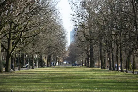 Bellevueallee nära slottet Bellevue i Berlin