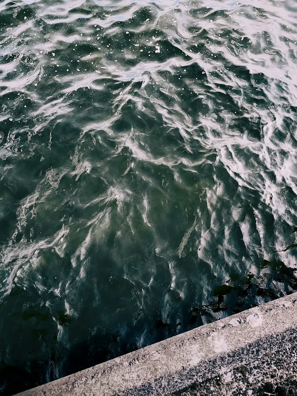 Vattenvy vid Friedrichshagen i Berlin.