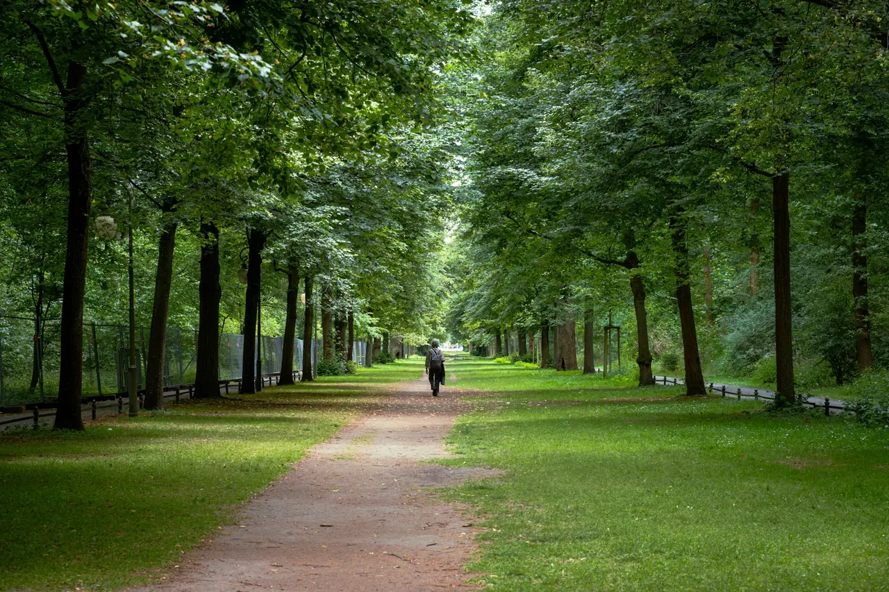 En promenad längs en grön gångväg i Tiergarten