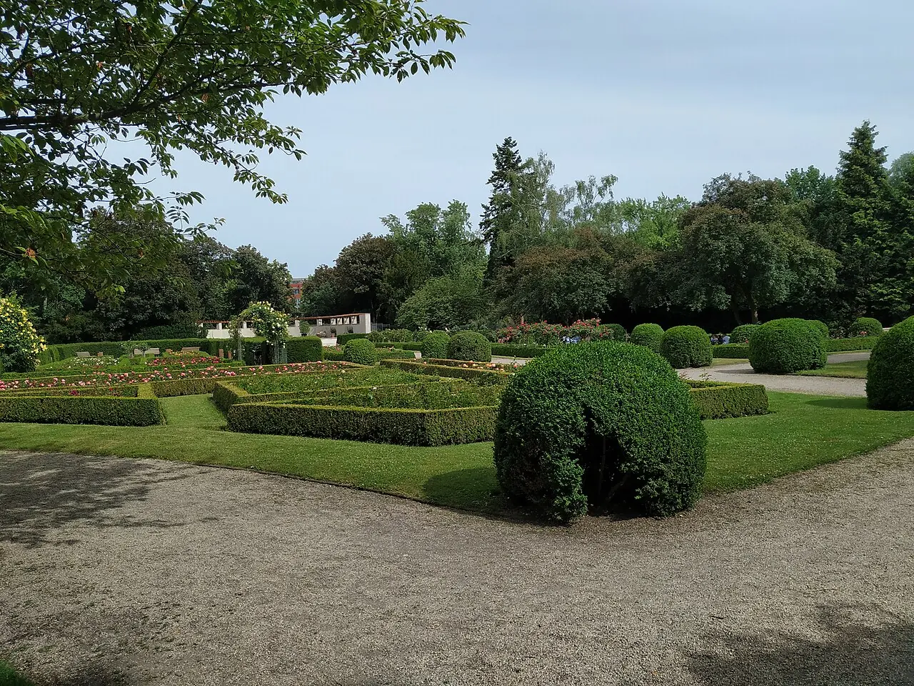 Rosenträdgården i Volkspark Humboldthain i Berlin