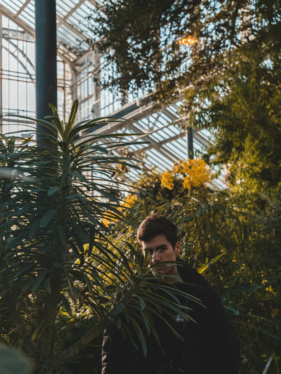 Växthus i Botanischer Garten Berlin