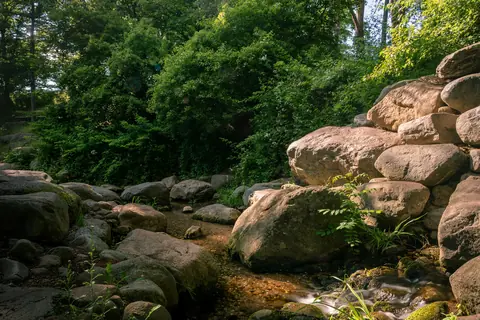 Bäck och grönska i Britzer Garten