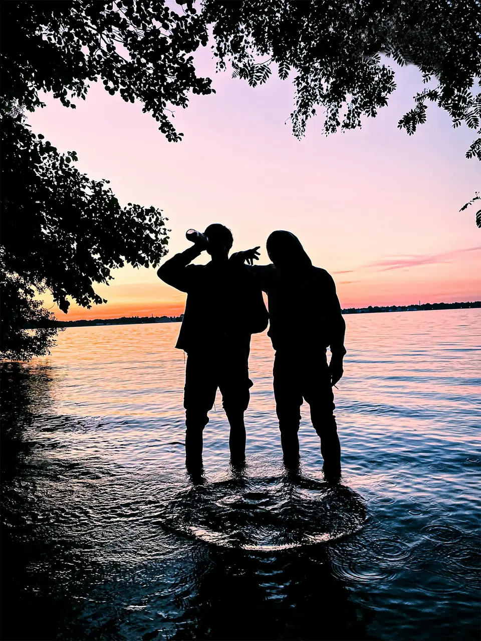Silhuetter vid Müggelsee i Berlin