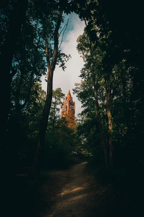Skogsstig nära Grunewaldturm i Berlin