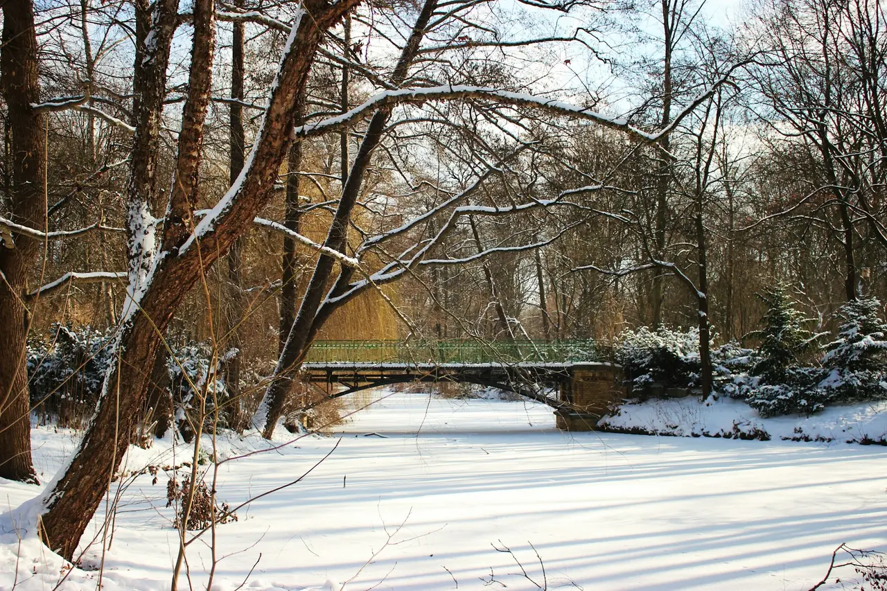 Snö och fruset vatten i Tiergarten i Berlin