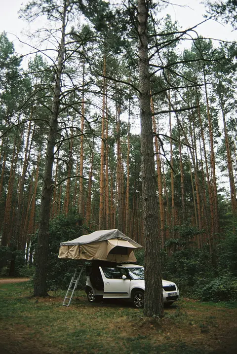 Camping i skogen vid Rheinsberg