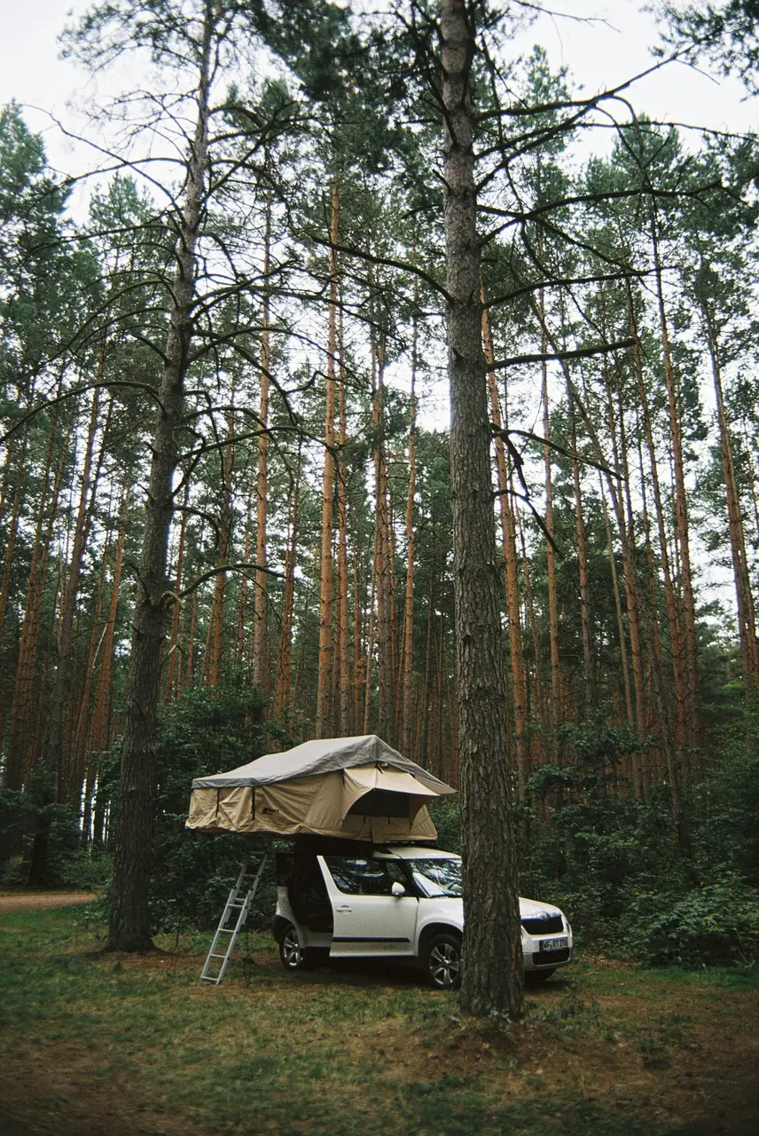 Camping i skogen vid Rheinsberg